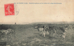 Le Croisic * 1908 * Récolte Du Goëmon Sur Les Rochers De La Plage St Goustan * Goemonier Pêche - Le Croisic