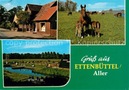 73669986 Ettenbuettel Ortspartie Stute Mit Fohlen Park Ettenbuettel - Altri & Non Classificati