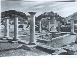 Saint Rémy De Provence  Les Ruines De Glanum   CP240232 - Saint-Remy-de-Provence