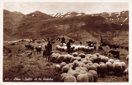 Liban * Carte Photo * Vallée De La Kadisha * Berger Et Troupeau De Moutons * Lebanon - Lebanon