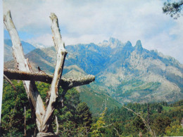 Corse    Aiguilles De Bavella       CP240238 - Autres & Non Classés