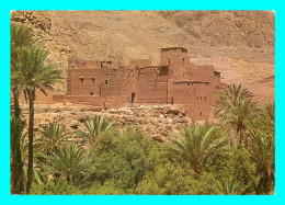 A856 / 101 Maroc TENERHIR Kasbah Gorges Du Toundra - Autres & Non Classés