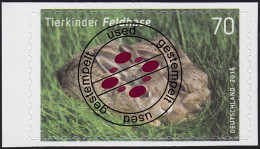 3223 Tierkinder: Feldhase, Selbstklebend Aus Folienblatt 55, EV-O Bonn  - Used Stamps