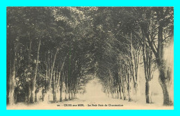 A851 / 407 76 - CRIEL SUR MER Le Petit Bois De Chantereine - Criel Sur Mer