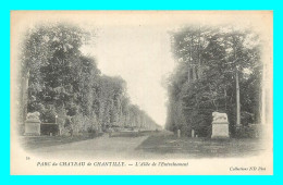 A873 / 283 60 - CHANTILLY Parc Du Chateau Allée De L'Entrainement - Chantilly