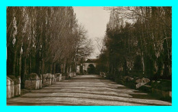 A867 / 017 13 - ARLES Les Alyscamps - Carte PHOTO - Arles