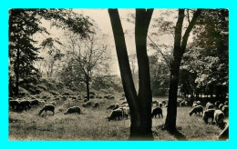 A866 / 295 39 - La Franche Comté Scene Pastorale ( Mouton ) - Autres & Non Classés