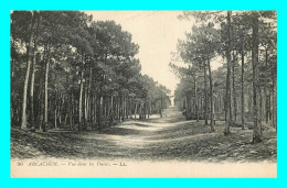 A860 / 195 33 - ARCACHON Vue Dans Les Dunes - Arcachon