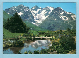 CP 05 - Le Jardin Alpin Au Col Du Lautaret Et Massif De La Meije - Sonstige & Ohne Zuordnung