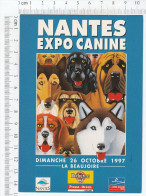 Expo Canine Internationale Nantes - La Beaujoire - Advertising