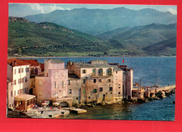 18648  SAINT FLORENT  La Vieille Marine, Aspect De L'Hôtel " Les Lauriers Roses "   (2 Scans ) 20 Corse - Sonstige & Ohne Zuordnung