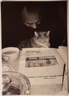CHAT Lisant Une Page De Journal - Photographie Boris Ronfinnac / Tonsure Ton - Carte Publicitaire Reproduisant Photo - Gatos