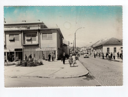 1965. YUGOSLAVIA,SERBIA,TRSTENIK,POSTCARD,USED - Yougoslavie