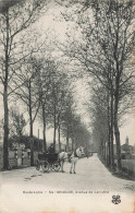 Brioude * 1906 * Avenue De Lamothe * Attelage Villageois Cheval - Brioude