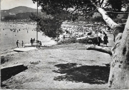 CPSM. 83 BORMES LES MIMOSAS. PLAGE DE LA FAVIERE. - Bormes-les-Mimosas