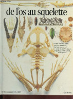 De L'os Au Squelette - Collection " Les Yeux De La Découverte ". - Parker Steve - 1988 - Otros & Sin Clasificación