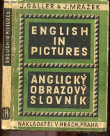 English In Pictures - Anglicky Obrazovy Slovnik - Se Strucnym Prehledem Anglicke Gramatiky - GALLER JIRI - MRAZEK JINDRI - Dictionnaires