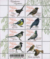 2011 733 Kazakhstan Birds Furdus Merula Acridotheris Tristis Parus Major Corvus Frugilegus MNH - Kazakhstan