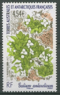 Franz. Antarktis 2008 Pflanzen Der Antarktis Antarktis-Labkraut 652 Postfrisch - Unused Stamps