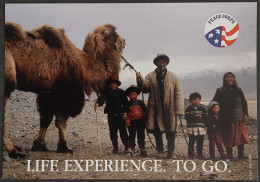 Carte Postale - Peace Corps (life Exerience. To Go.) Jess Reed, Avril 1995 - Kyrgyzstan (chameau) - Werbepostkarten