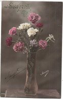 Fantaisie Fleur Souvenir - Other & Unclassified