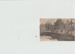 Neuville Aux Bois (45) 1905-promenade Au Bois - Other & Unclassified
