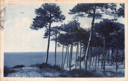 33-LE MOULLEAU ARCACHON-N°T1055-G/0103 - Other & Unclassified