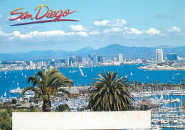 Navigation Sailing Vessels & Boats Themed Postcard San Diego Harbour Marina - Sailing Vessels