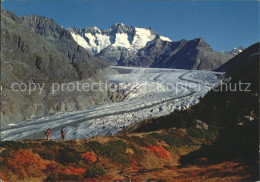 12002528 Wallis Valais Kanton Naturschutzgebiet Aletschwald Alpengletscher  Wall - Autres & Non Classés