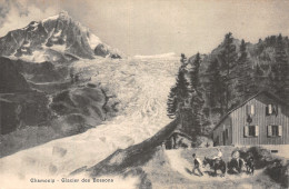 74-CHAMONIX-N°T1060-H/0195 - Chamonix-Mont-Blanc