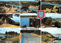 49-CHAMPTOCEAUX-N°T1061-D/0135 - Champtoceaux