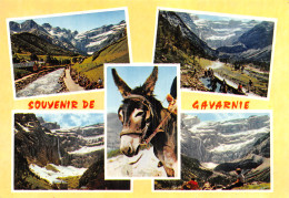 65-GAVARNIE-N°T1061-F/0379 - Gavarnie