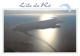 17-ILE DE RE-N°T1062-D/0205 - Ile De Ré