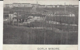 Gorla MInore - Other & Unclassified