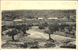 11984606 Jerusalem Yerushalayim Panorama View  - Israel