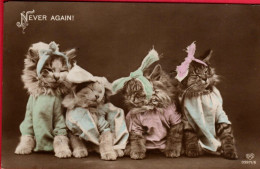 Chats Habillés  -dressed Cats - Katzen -geklede Poezen , Ziek - Gatos