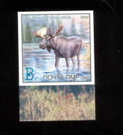 Label  Transnistria 2024 Year Of The Dark Elk Fauna Elk 1v**MNH Imperforated - Fantasie Vignetten