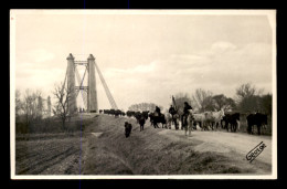 13 - RENTREE DES TAUREAUX  EN CAMARGUE - CARTE PHOTO GEORGES , ARLES - Autres & Non Classés