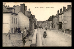 45 - BRIARE - ROUTE DE BONNY - Briare