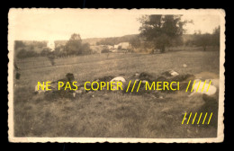55 - COUVONGES ? - LES CORPS DES FUSILLES DU 29 AOUT 1944 - CARTE PHOTO ORIGINALE - Autres & Non Classés