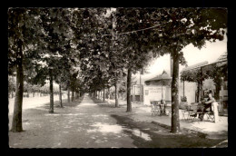 94 - ORMESSON-SUR-MARNE - CONTRE ALLEE DU GENERAL DE GAULLE - Ormesson Sur Marne