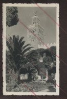 MAROC - MARRAKECH - CEREMONIE EN 1939 - 5 PHOTOS FORMAT 11 X 8.5 CM ET 11 X 7 CM - Lugares