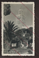 MAROC - MARRAKECH - CEREMONIE EN 1939 - 5 PHOTOS FORMAT 11 X 8.5 CM ET 11 X 7 CM - Lieux