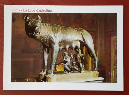 ROMA-Italy-La Lupa Capitolina-Campidoglio-Palazzo Dei Conservatori-Vintage Postcard-unused-80s - Altri Monumenti, Edifici