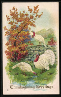 Präge-AK Thanksgiving Greetings, Truthahn Mit Seinen Hennen  - Sonstige & Ohne Zuordnung