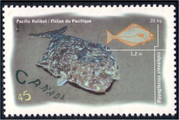 Canada Halibut Flétan MNH ** Neuf SC (C16-42b) - Poissons
