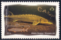 Canada Sturgeon Esturgeon MNH ** Neuf SC (C16-43b) - Fishes