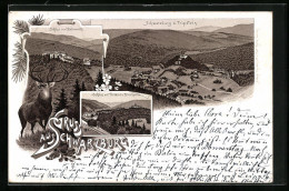 Vorläufer-Lithographie Schwarzburg /Thüringer Wald, 1894, Totale Vom Tripstein Aus, Schloss Mit Terrasse U. Kirschwi  - Autres & Non Classés