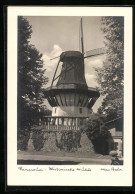 Foto-AK Max Baur: Potsdam, Sanssouci, Historische Mühle  - Other & Unclassified