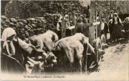 Monastir - Chars A Boeufs - Macédoine Du Nord